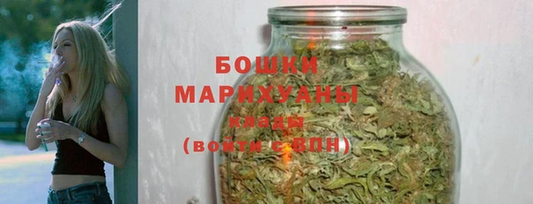 молекула духа Бронницы