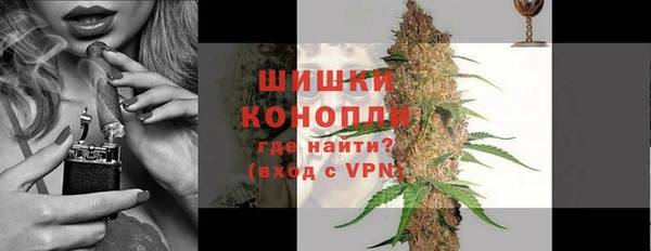 молекула духа Бронницы