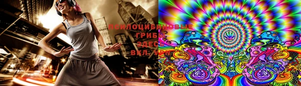 молекула духа Бронницы