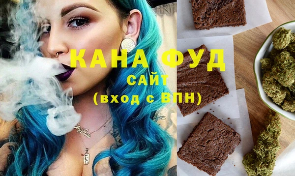 молекула духа Бронницы