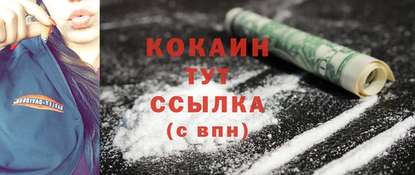 молекула духа Бронницы