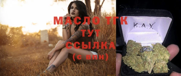 молекула духа Бронницы
