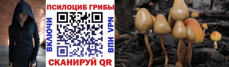 Псилоцибиновые грибы мицелий  Трёхгорный 
