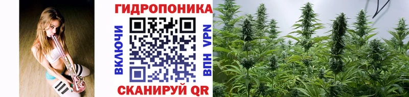 наркотики  Трёхгорный  Шишки марихуана AK-47 